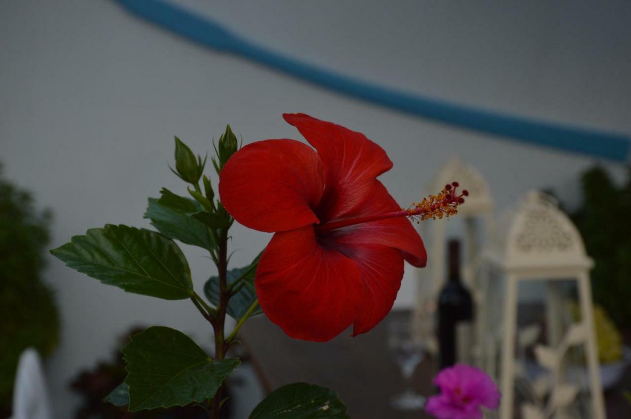 Stella'S Traditional House. Alonnisos Town Bagian luar foto